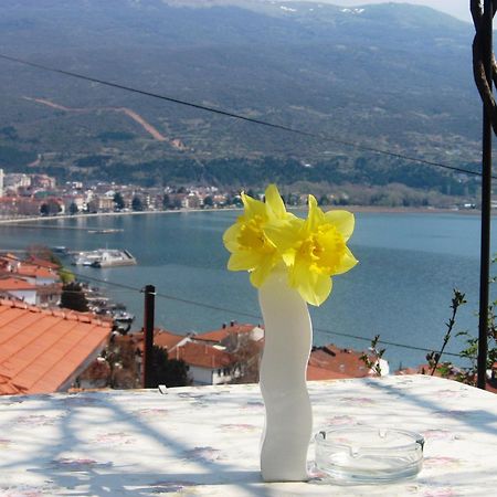 Apartments Villa Saray Охрид Екстер'єр фото