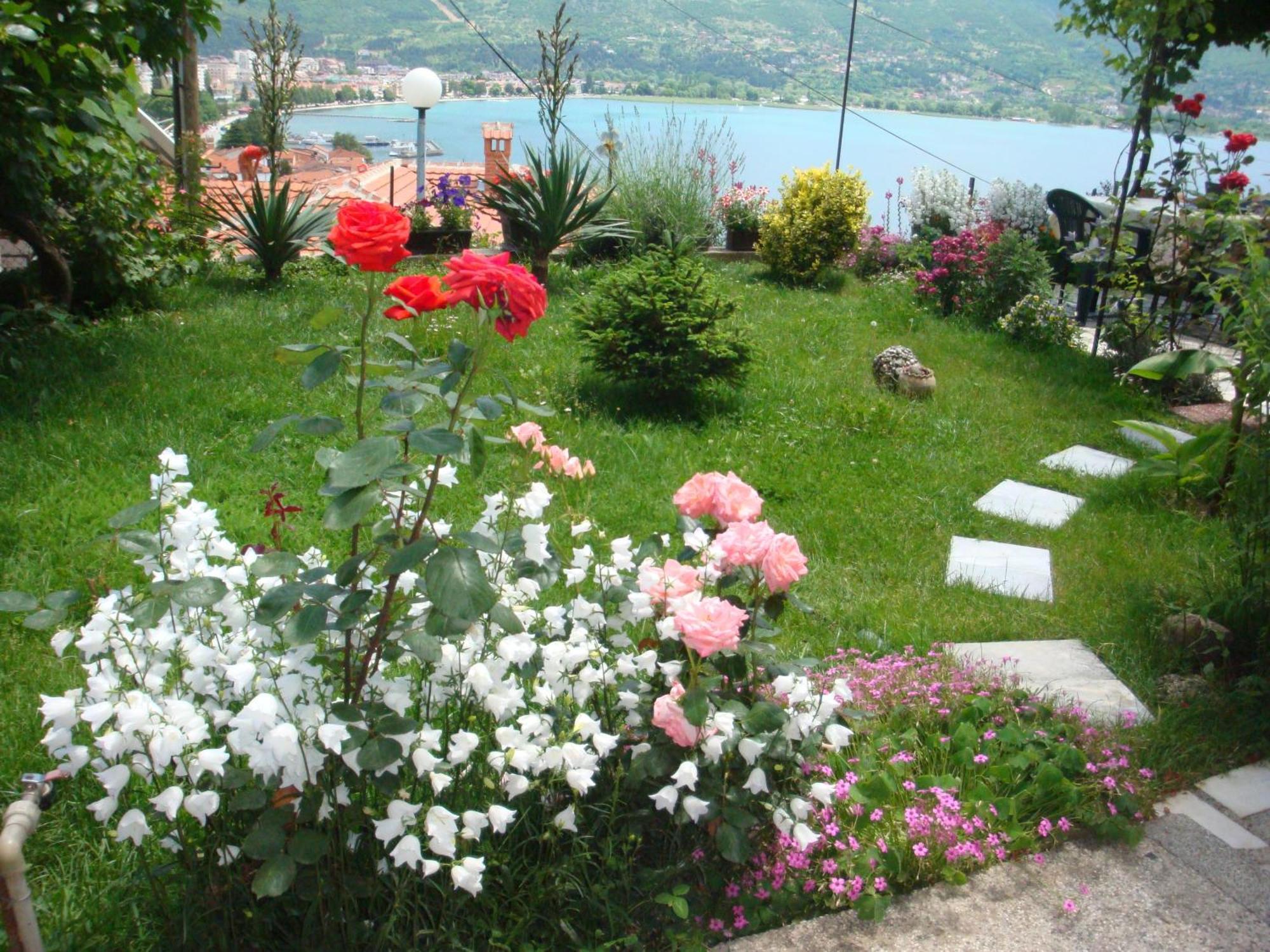 Apartments Villa Saray Охрид Екстер'єр фото