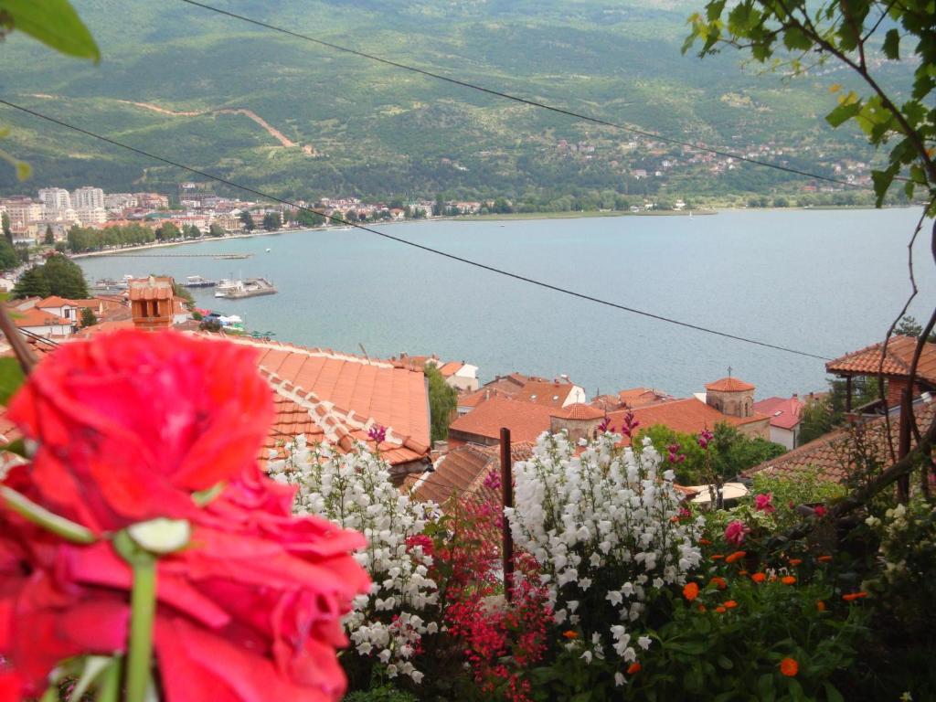 Apartments Villa Saray Охрид Екстер'єр фото